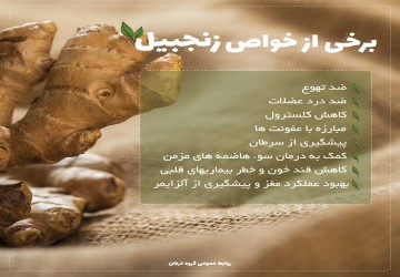 فواید استفاده از زنجبیل